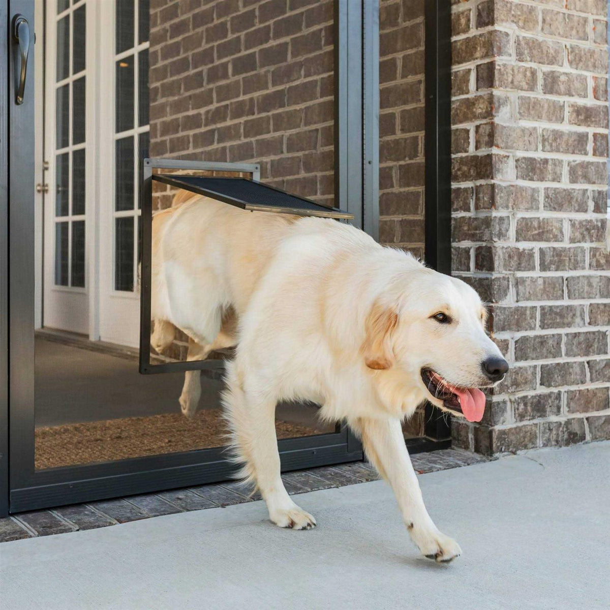 Pet Screen Door M9674