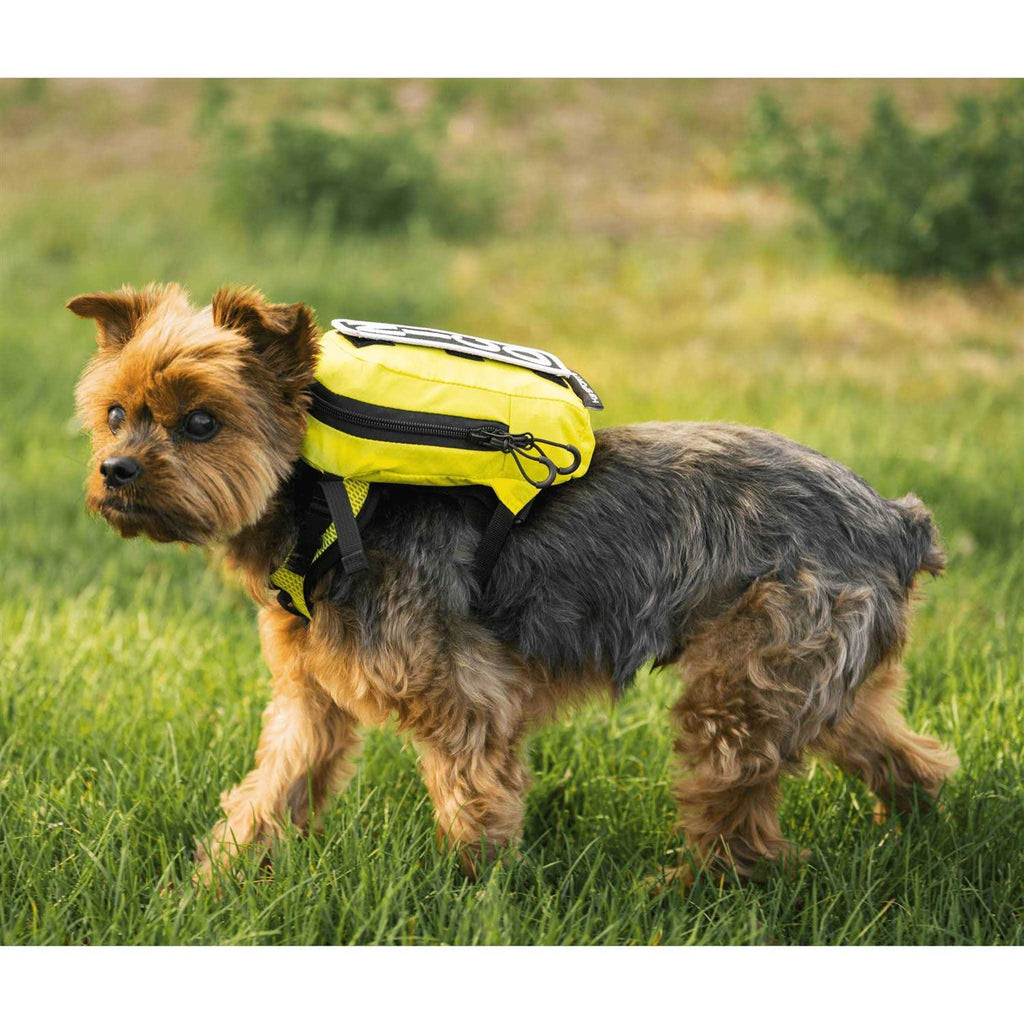Dog Harness with Storage M999