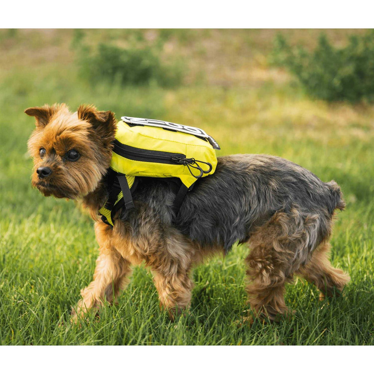 Dog Harness with Storage M999