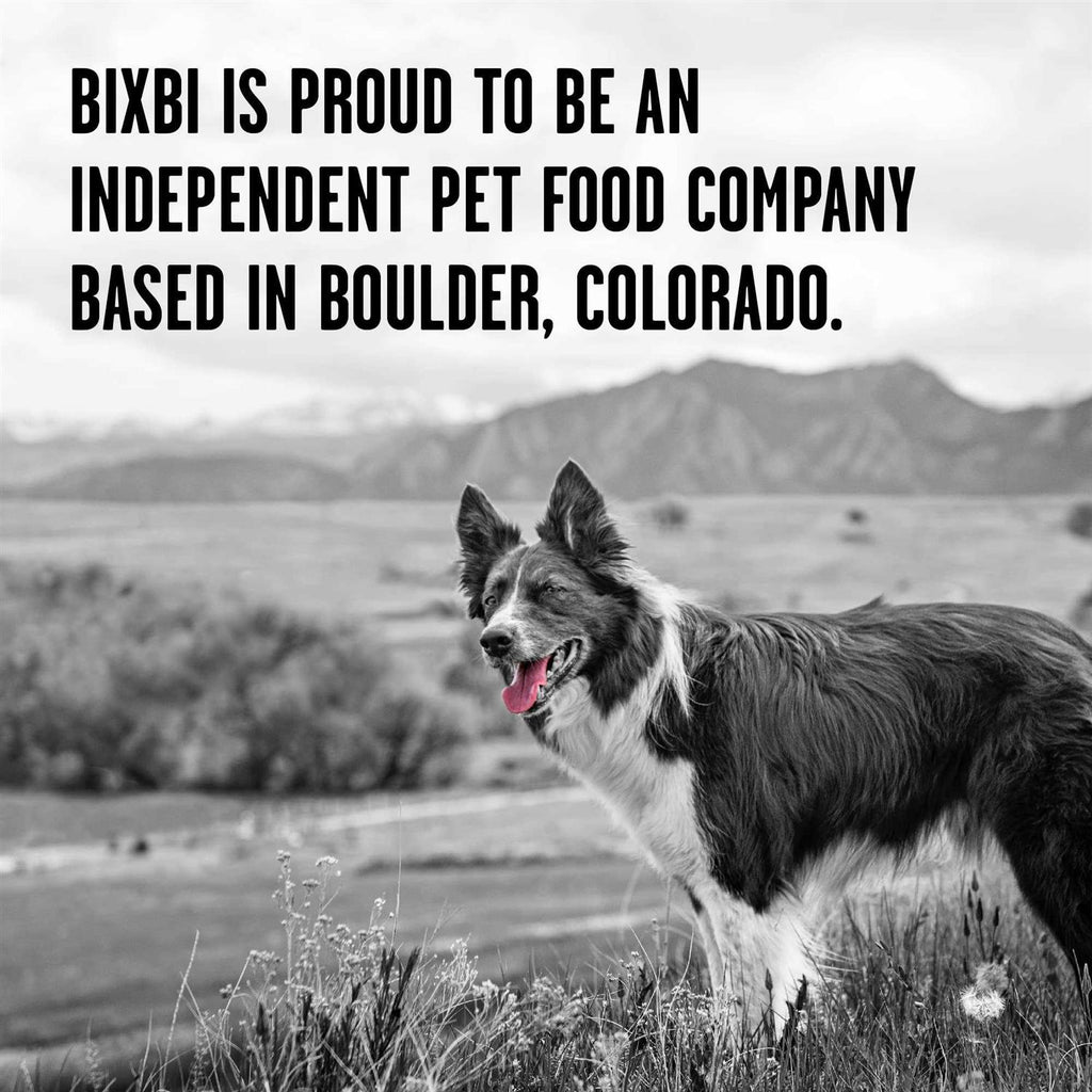Chicken Recipe Dry Dog Food H37419