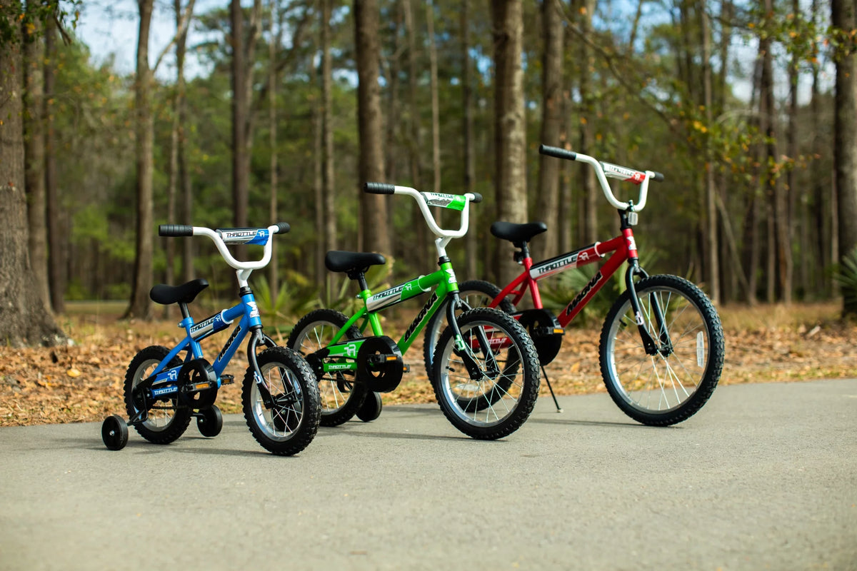 20-Inch BMX Bike T196569