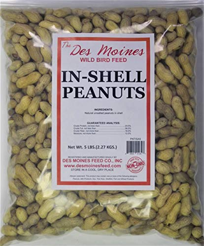 5 lbs in-Shell Peanuts Wild Bird Food V1404