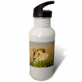 21 oz Sports Water Bottle B3708