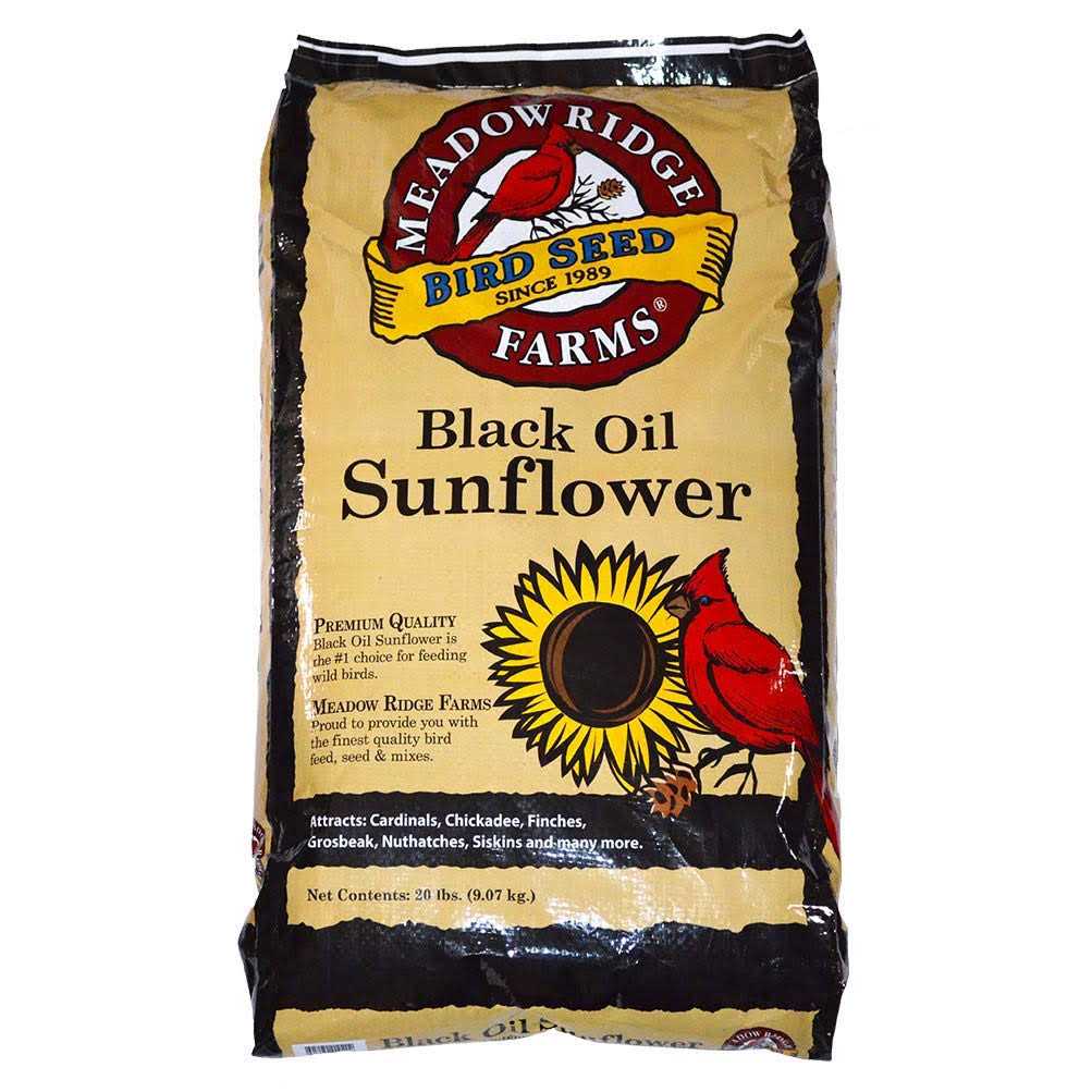 20-Lb. Black Oil Sunflower Bird Seeds D235