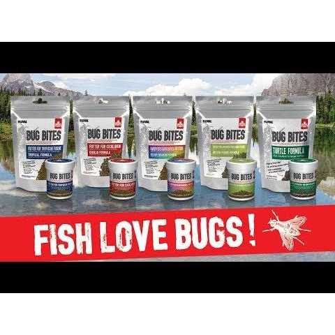 Bug Bites Tropical Fish Small Granules O2769
