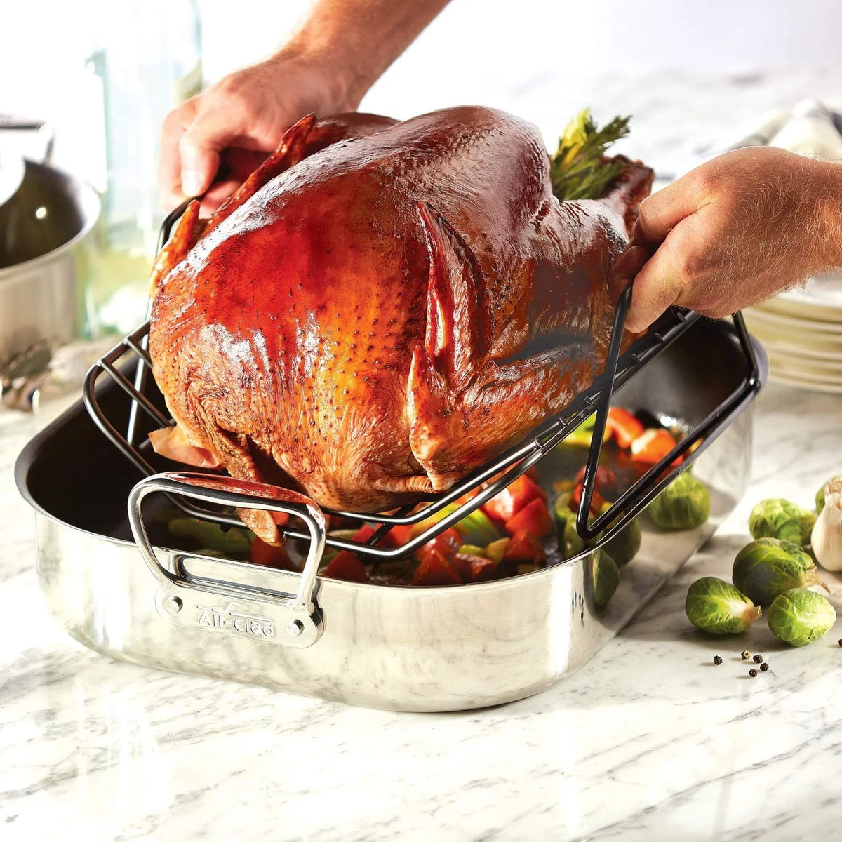 Large Stainless Steel Nonstick Roaster with Rack D116740