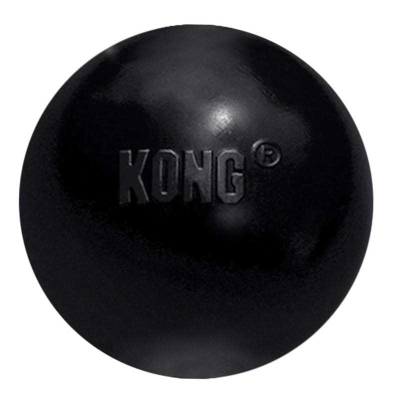 KONG Ball Dog Toy V99202