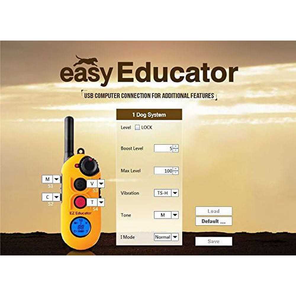 Remote Dog Training Collar with Vibration L555565