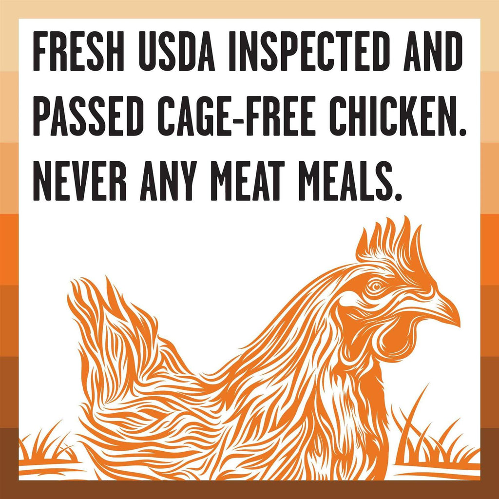 Chicken Recipe Dry Dog Food H37419