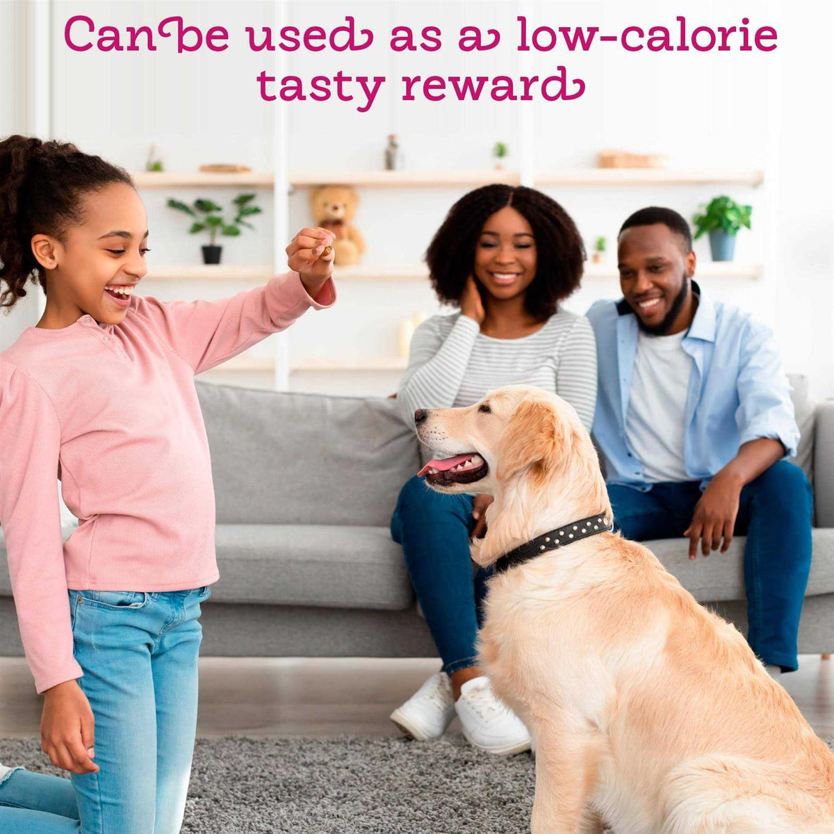 Peanut Butter Flavored Pill Paste for Dogs T6104