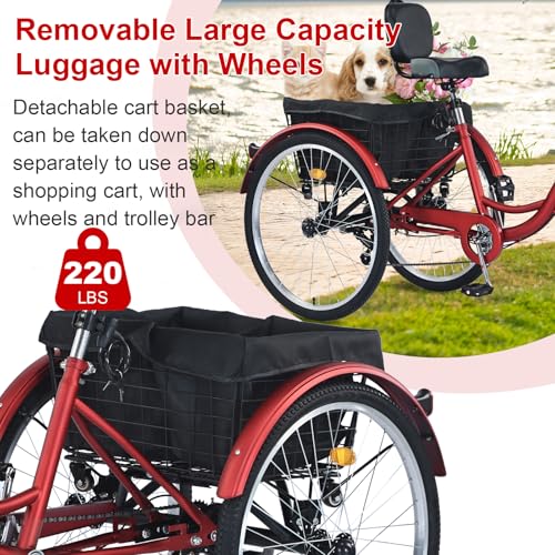 26 inch 7 Speed Adult Tricycle with Front & Rear Baskets N857