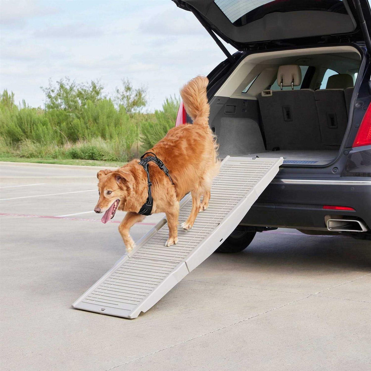 Tri-Fold Travel Dog Car Ramp X131576