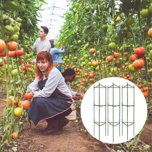 3 Packs Deformable 48inch Tomato Cages Plant Supports L530705
