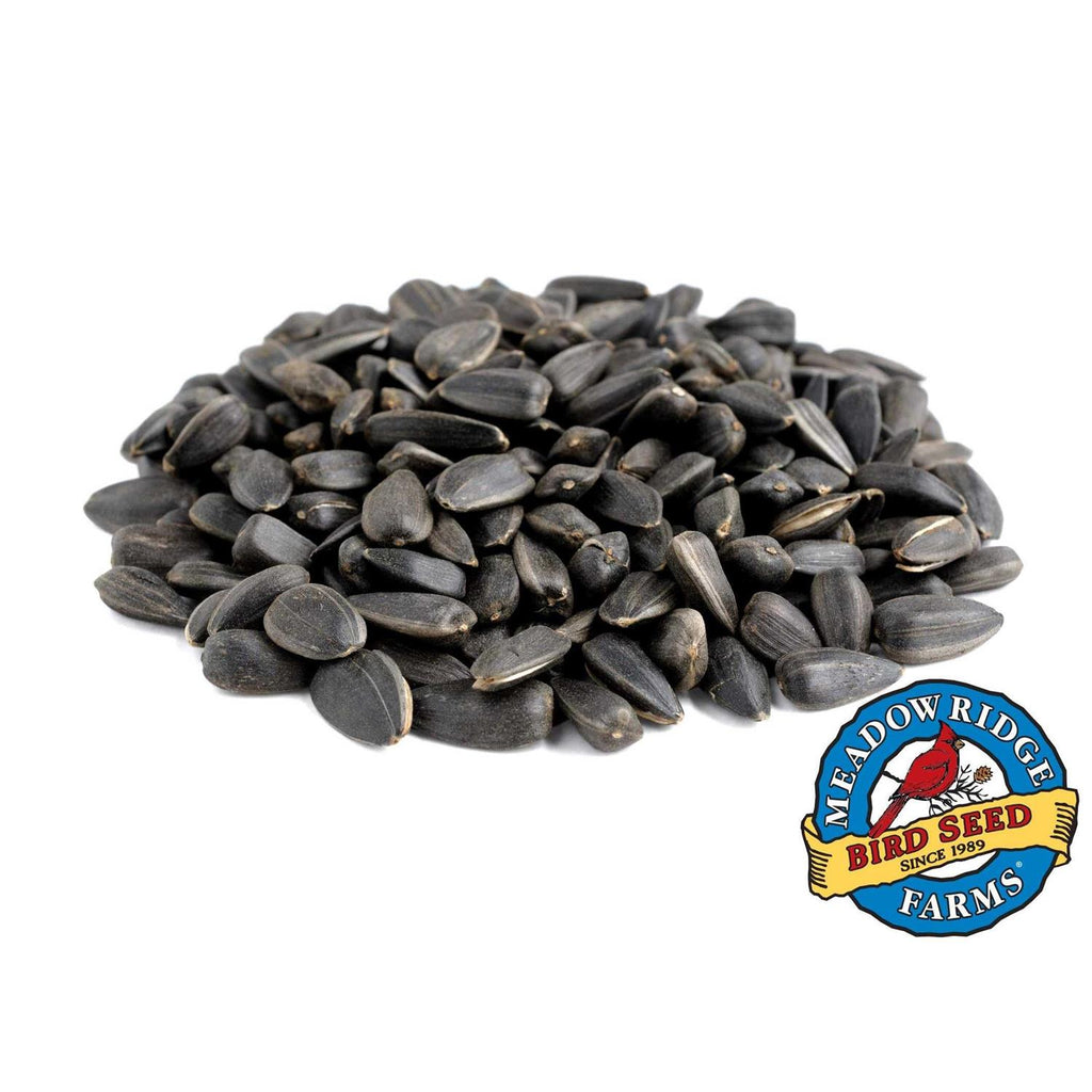 20-Lb. Black Oil Sunflower Bird Seeds D235