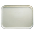 Rectangular Tray H239
