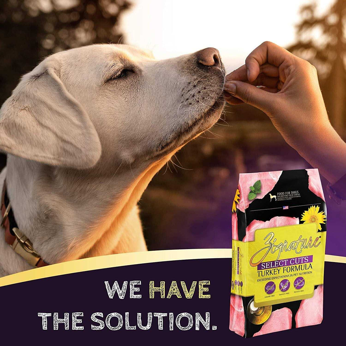 Dry Dog Food Turkey Formula J329202