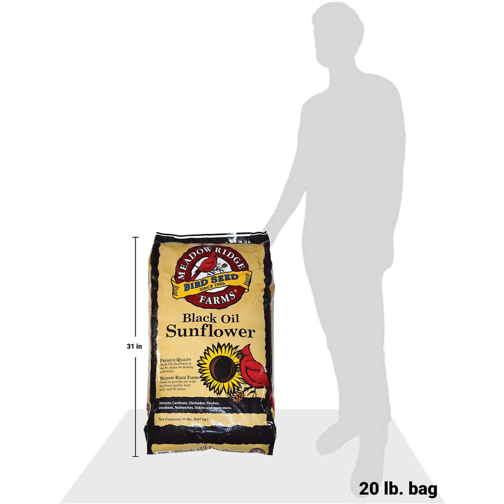 20-Lb. Black Oil Sunflower Bird Seeds D235