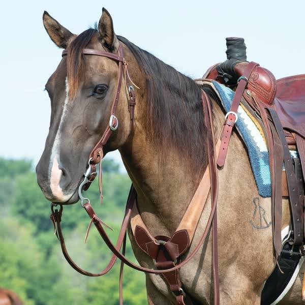 Leather Pulling Breast Collar O279
