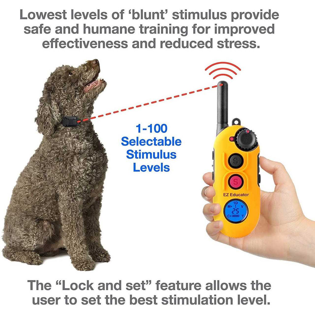 Remote Dog Training Collar with Vibration L555565