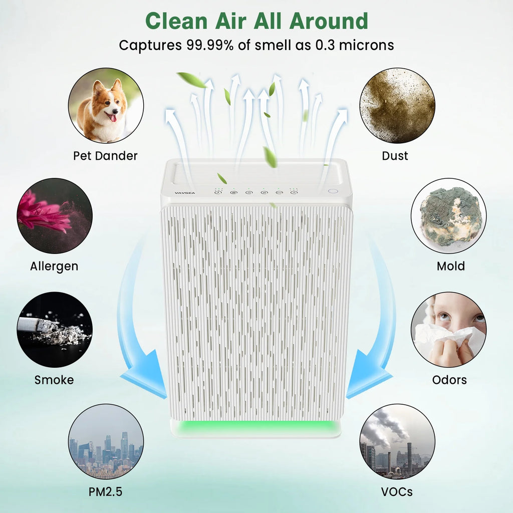 H13 True HEPA Air Purifier A473