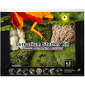 Terrarium Starter Kit L568