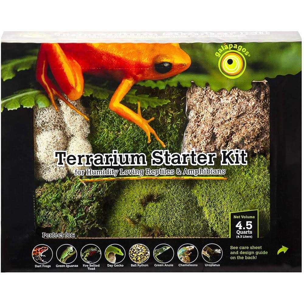Terrarium Starter Kit L568