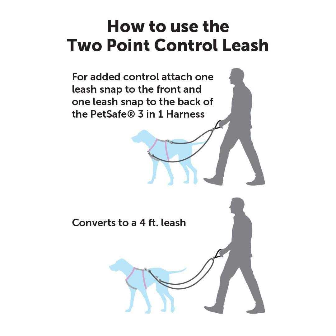 Two Point Control Dog Leash R2198