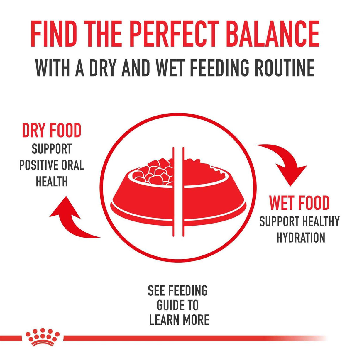 Boxer Puppy Dry Dog Food E994820
