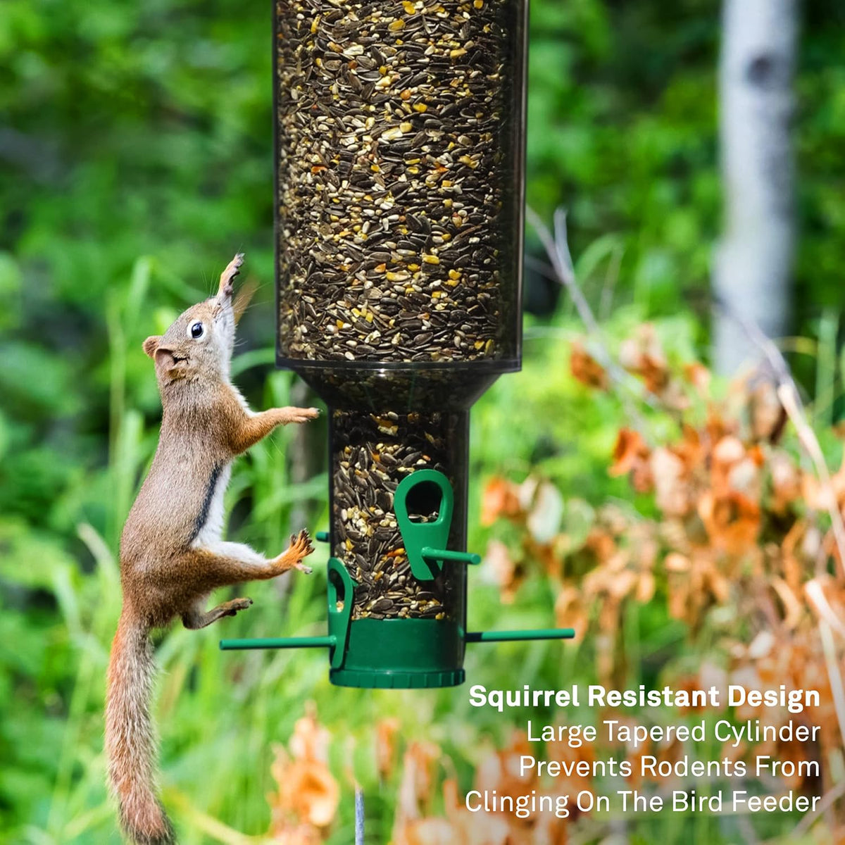 Squirrel Proof Wild Bird Feeder, Large Cylinder Tube 7lb Capacity, Pack of 2 Z94077