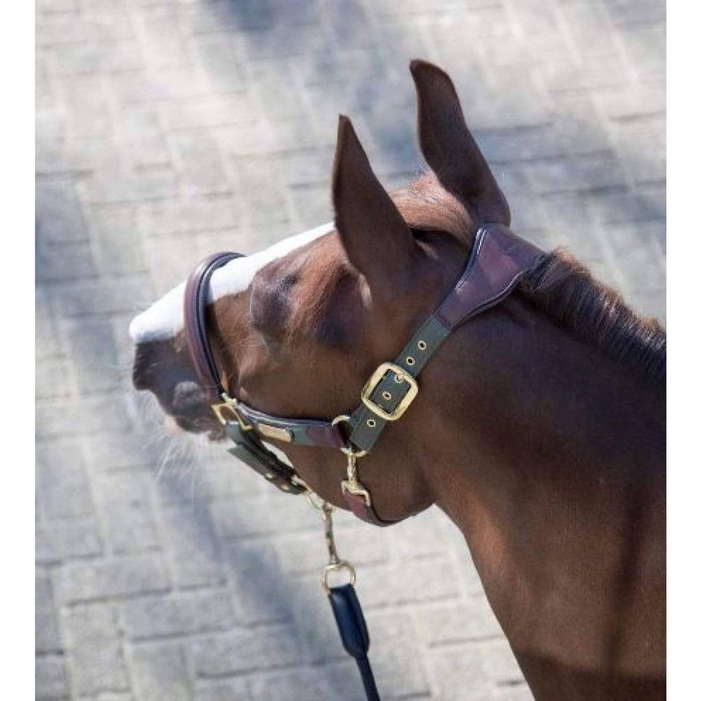 Moss Pony Headcollar A740