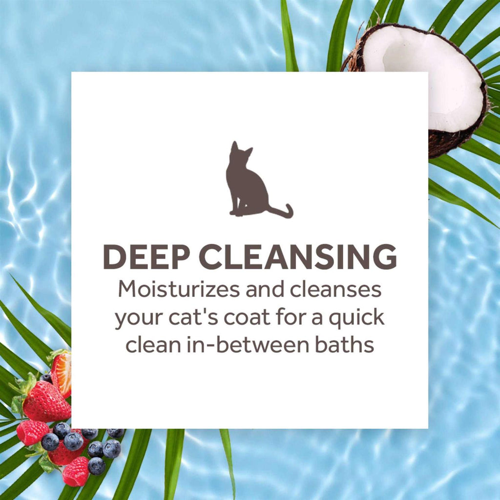 Waterless Deep Cleaning Cat Shampoo U9426