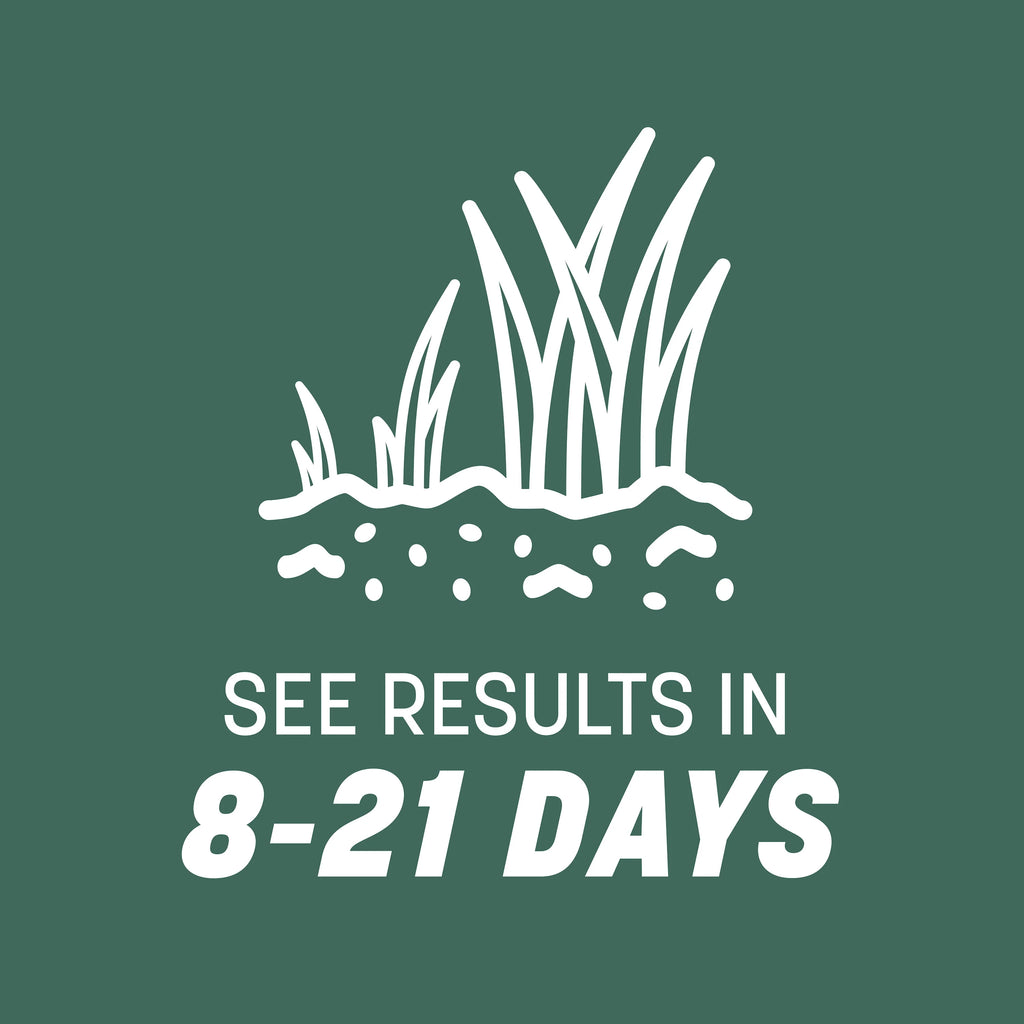 Tall Fescue Grass Seed 50lb Z81156