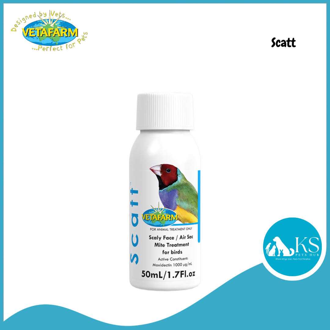 50 ml Pet Supplies V63565