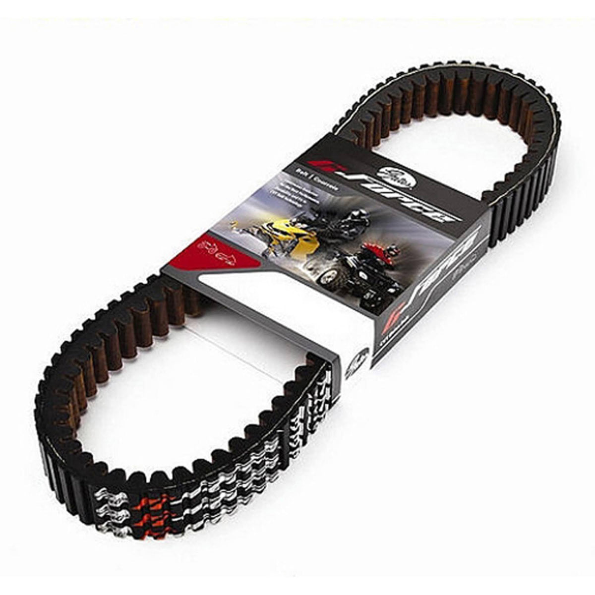 G-Force Recreational Belt W8362