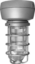 70W Metal Halide Ceiling Light with Glass Globe Cast Guard H627280
