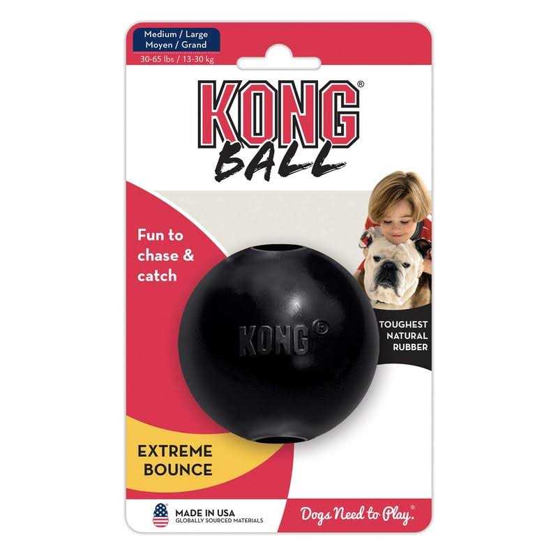 KONG Ball Dog Toy V99202