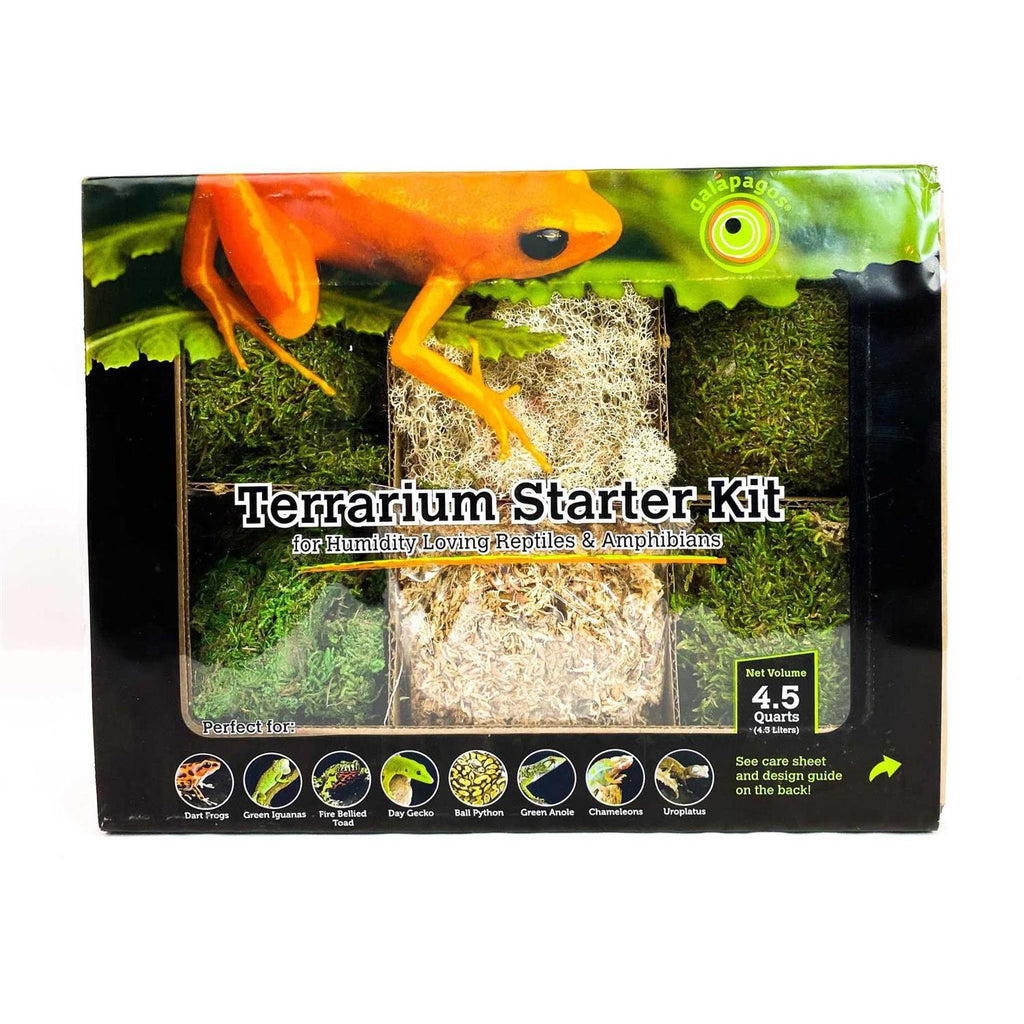 Terrarium Starter Kit L568
