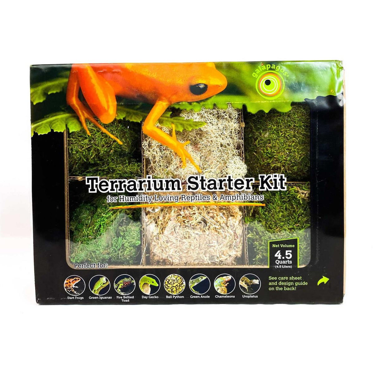 Terrarium Starter Kit L568
