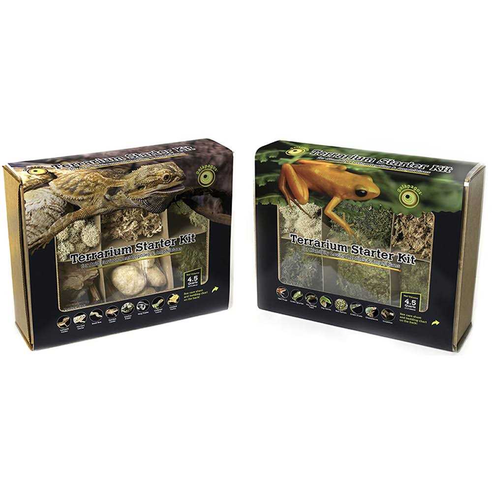 Terrarium Starter Kit L568