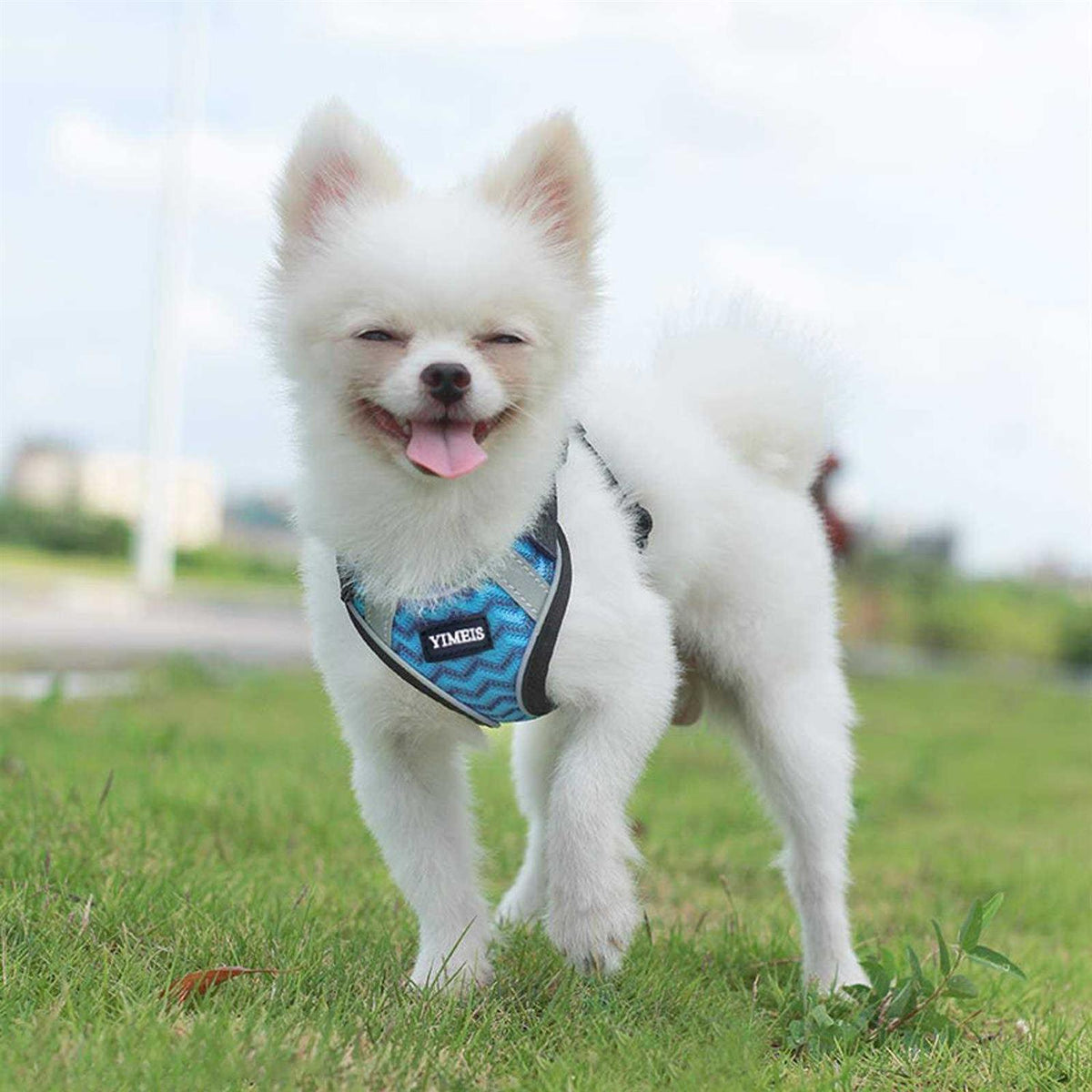 Dog Harness and Leash Set No Pull Soft Mesh Pet Harness V46961