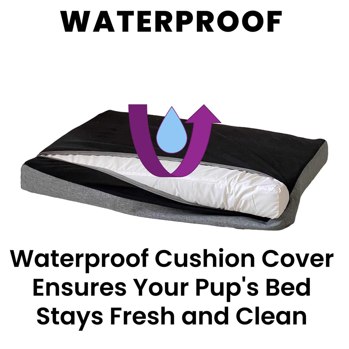 Orthopedic Dog Bed B307103