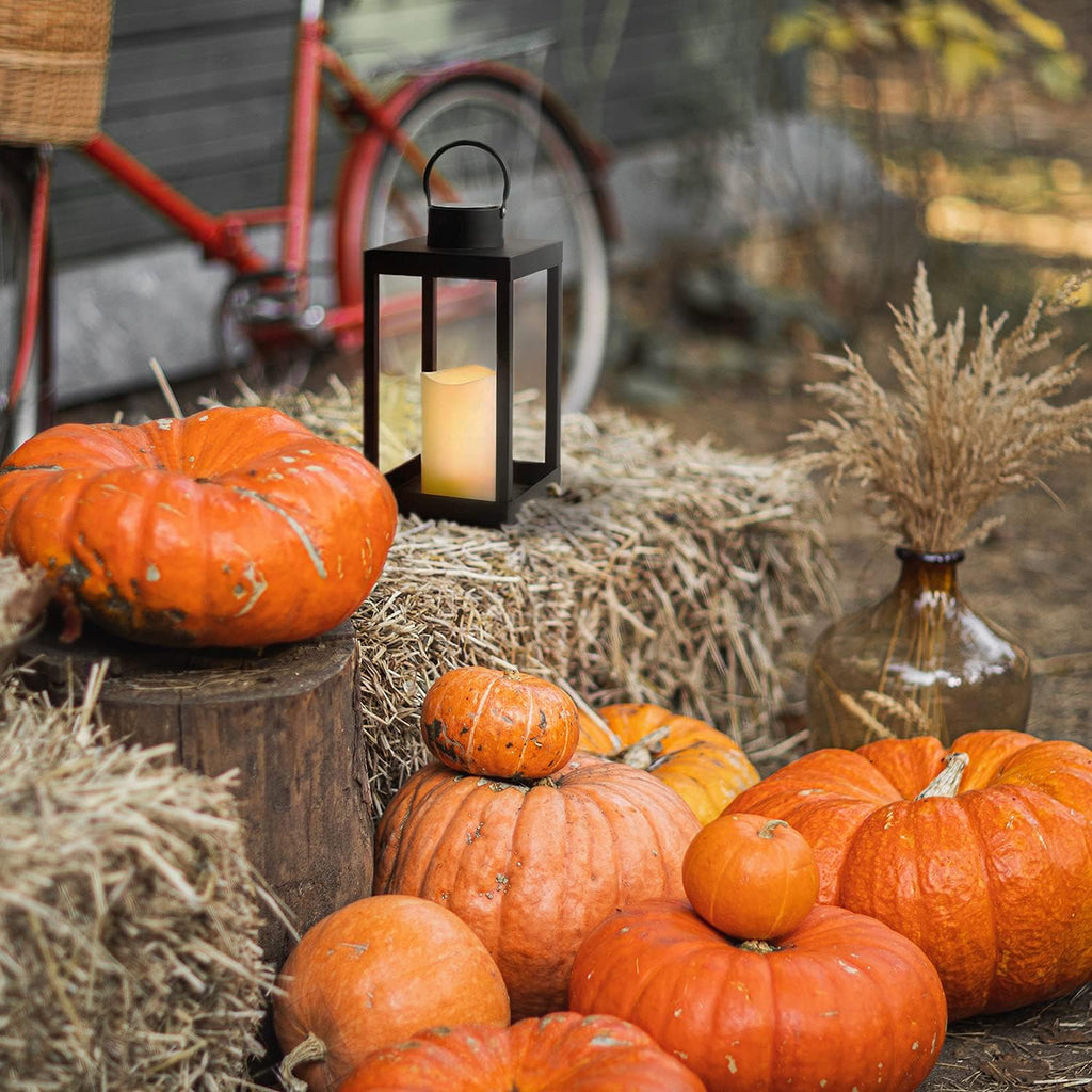 Matte Black Metal Candle Holder Lantern, 14 Inch Tall Z3763