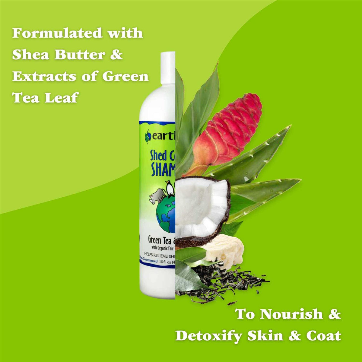 Green Tea & Awapuhi Shed Control Shampoo B8389