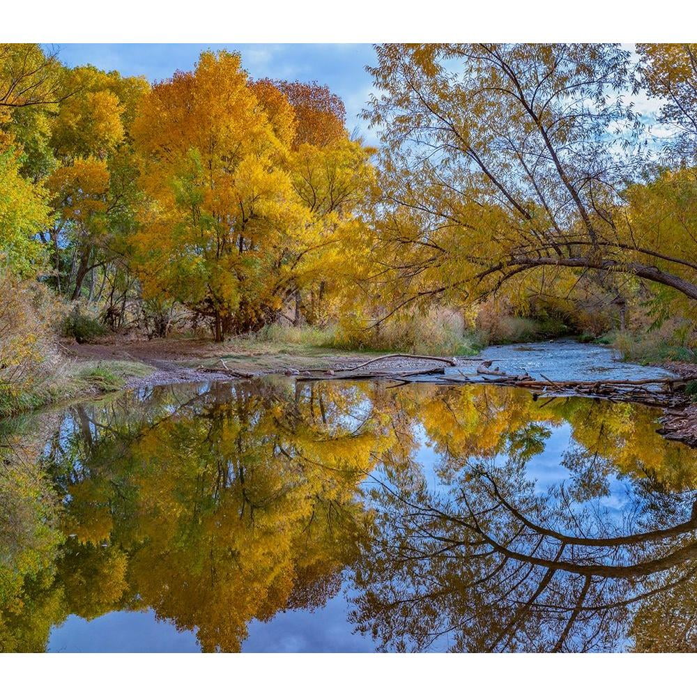 13x12 Black Framed Museum Art Print Q155532