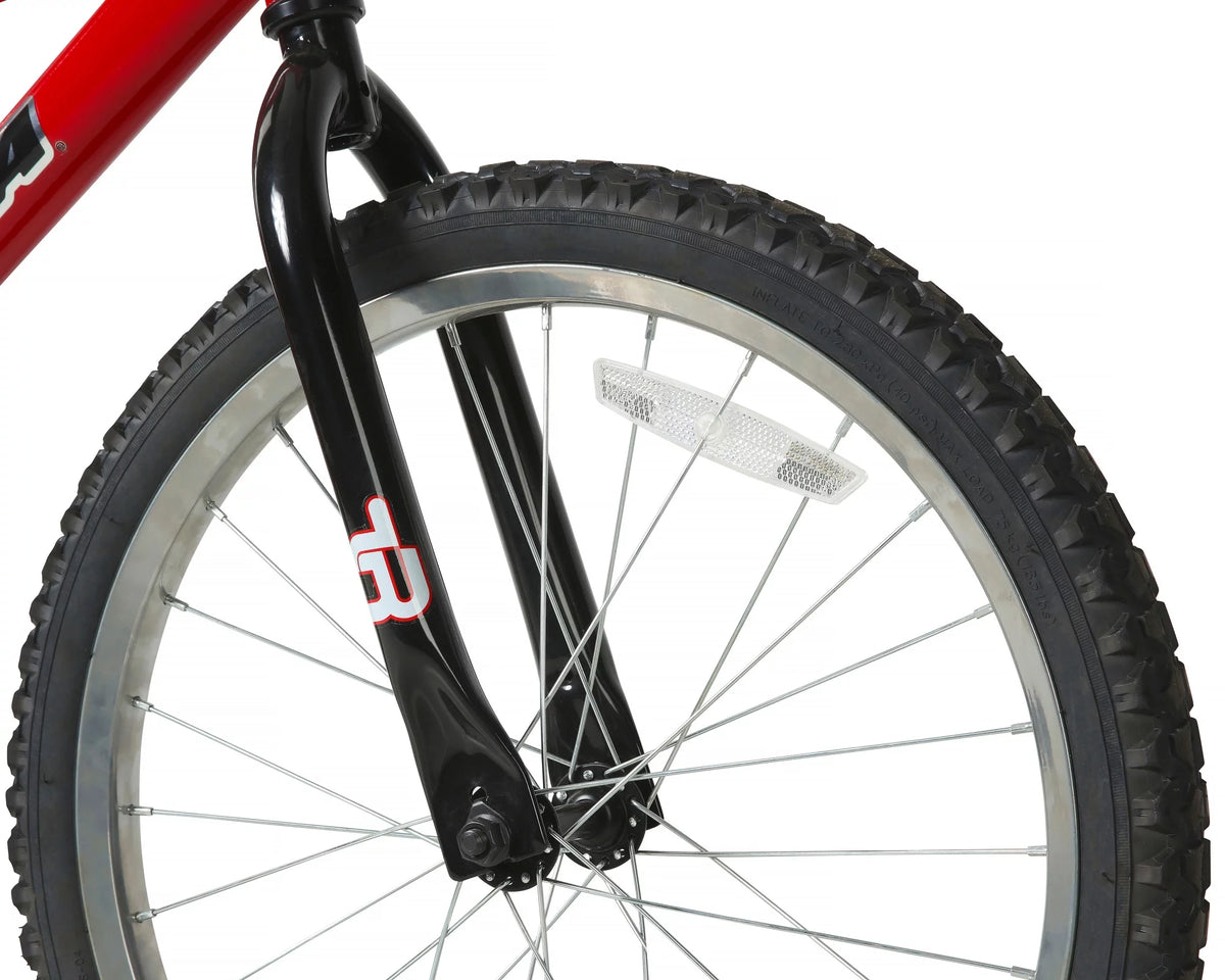 20-Inch BMX Bike T196569