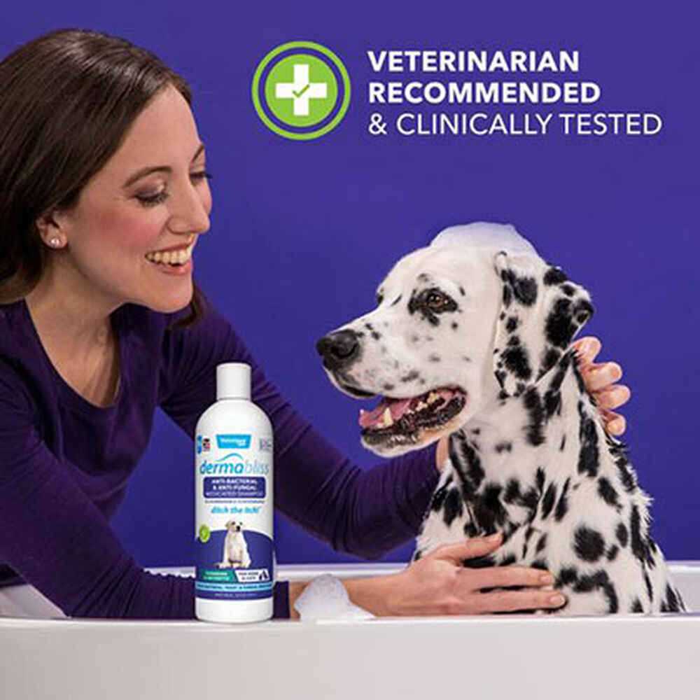 Chlorhexidine Shampoo 16 Oz Bottle For Dogs R84018