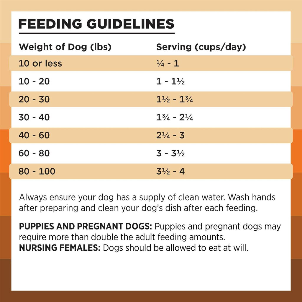 Chicken Recipe Dry Dog Food H37419