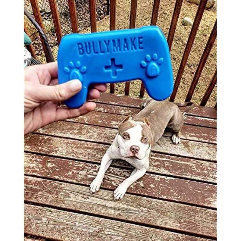 Controller Dog Toy H6815