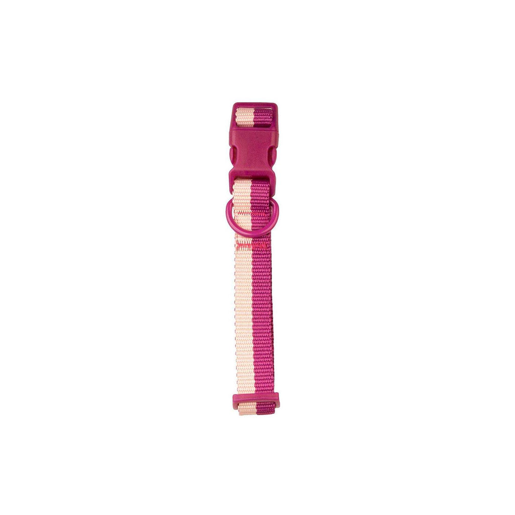 Colorblock Pet Collar H54925