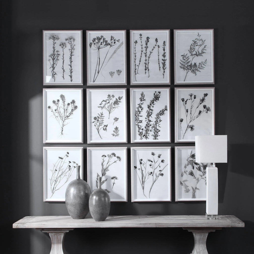 Contemporary Botanicals Framed Prints (Set of 12) J444946